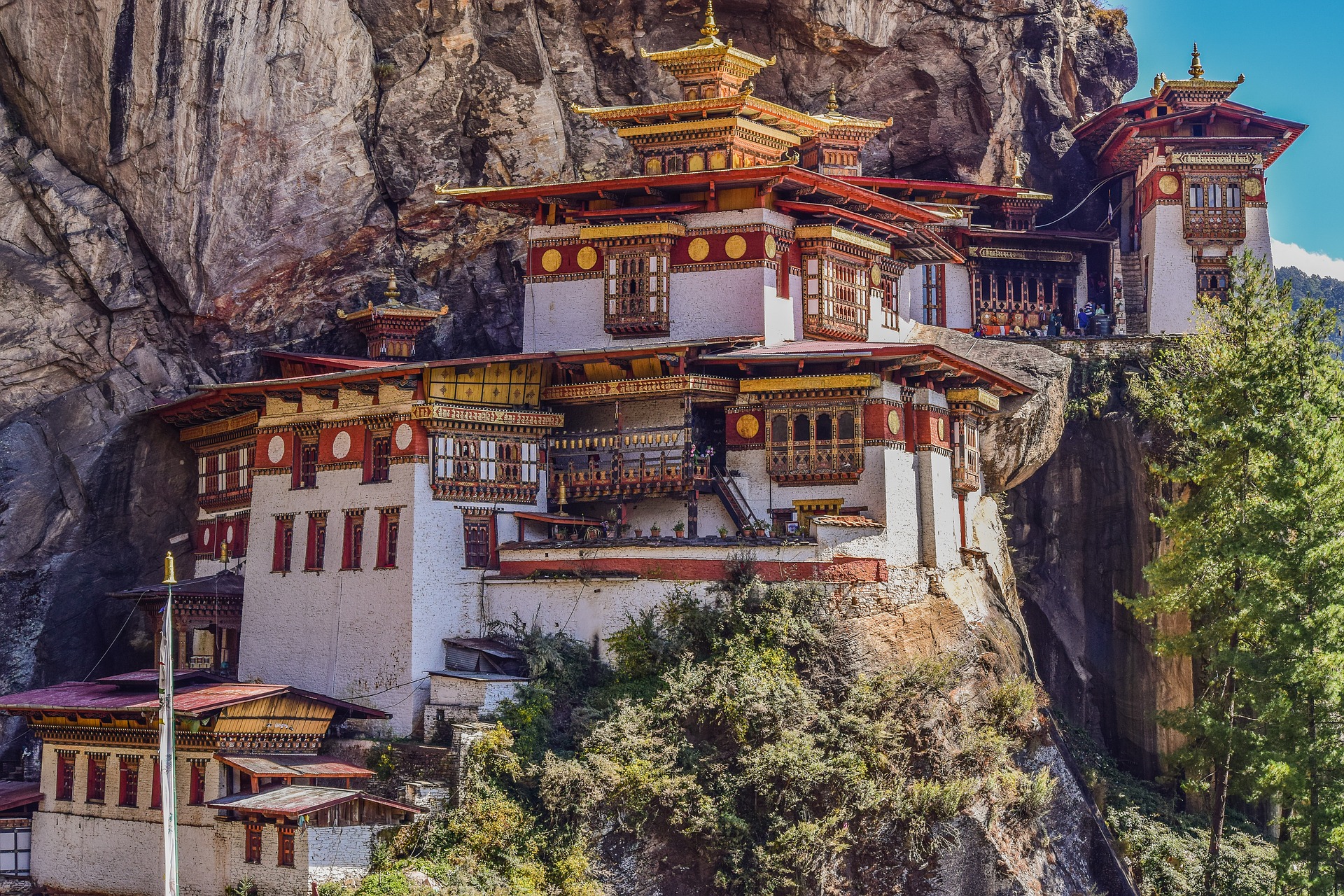 tigers nest 2691190 1920