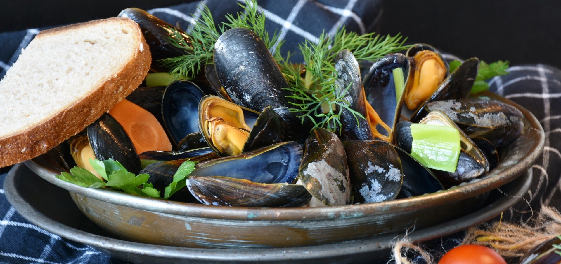 shellfish 3148439 1920