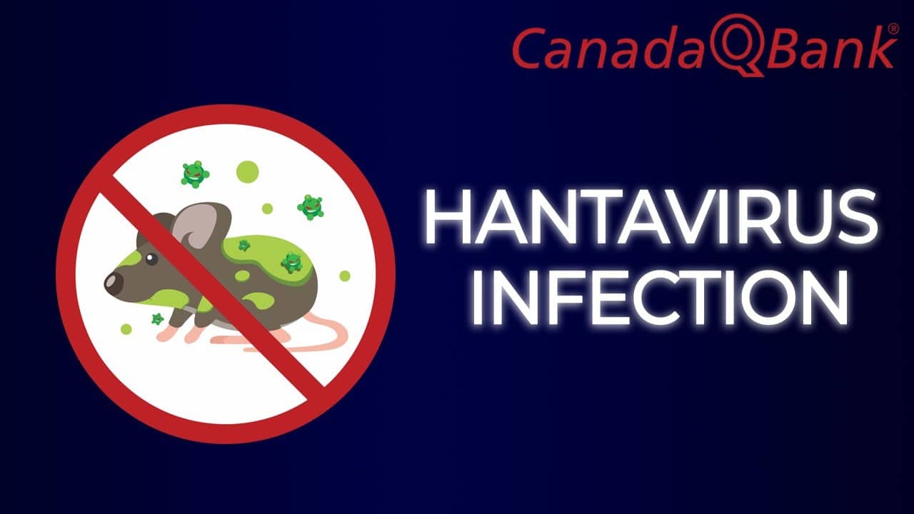 Anta Virus