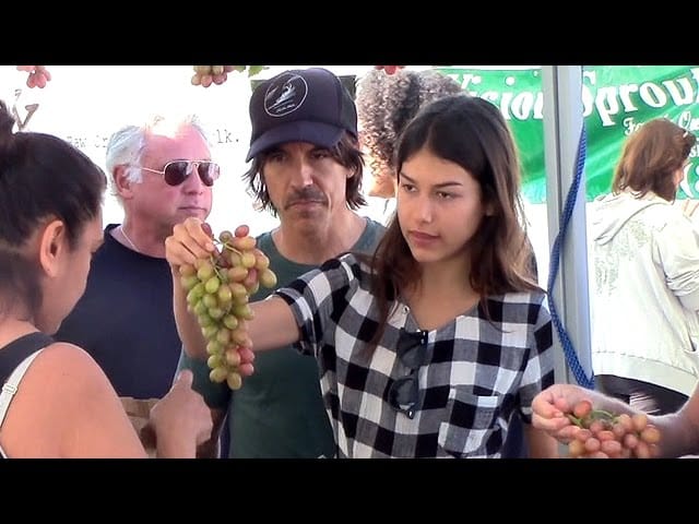 Anthony Kiedis Novia