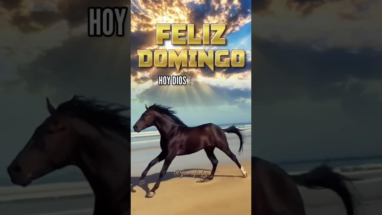 Buenos Dias Domingo Gracioso
