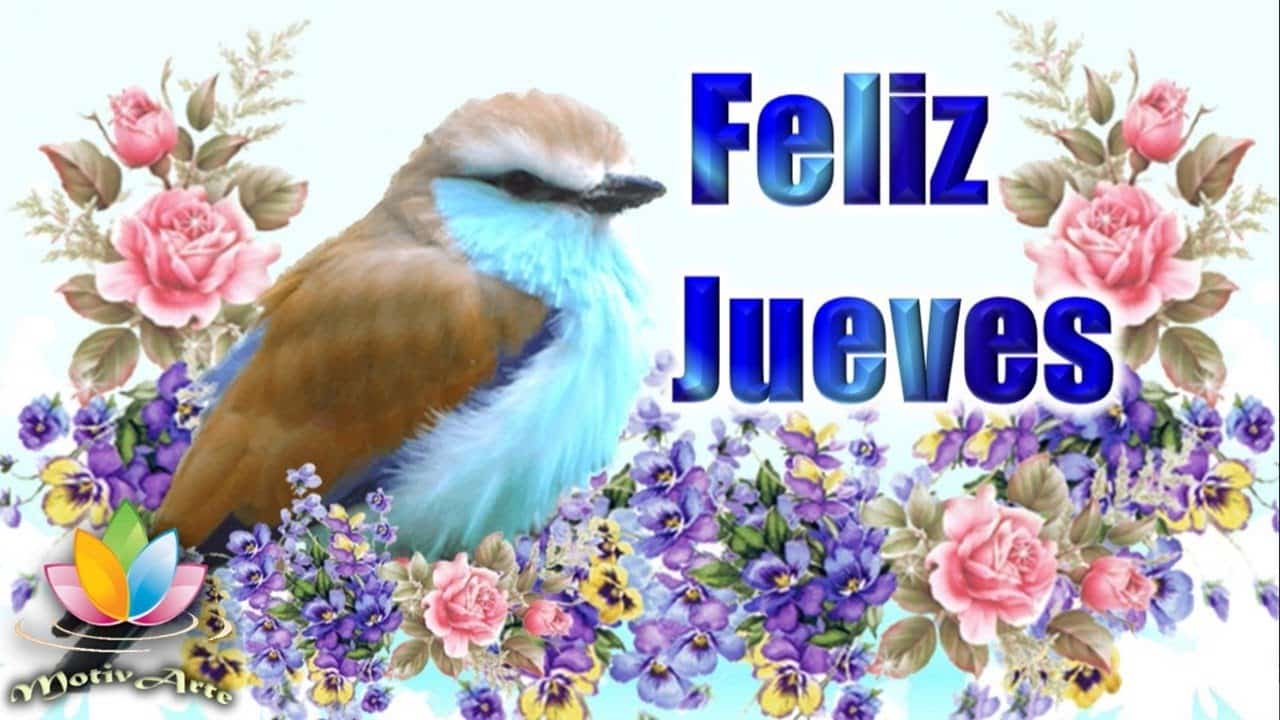 Buenos Dias Jueves Gracioso