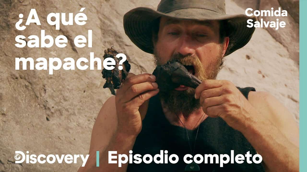 Cocinero Supervivientes