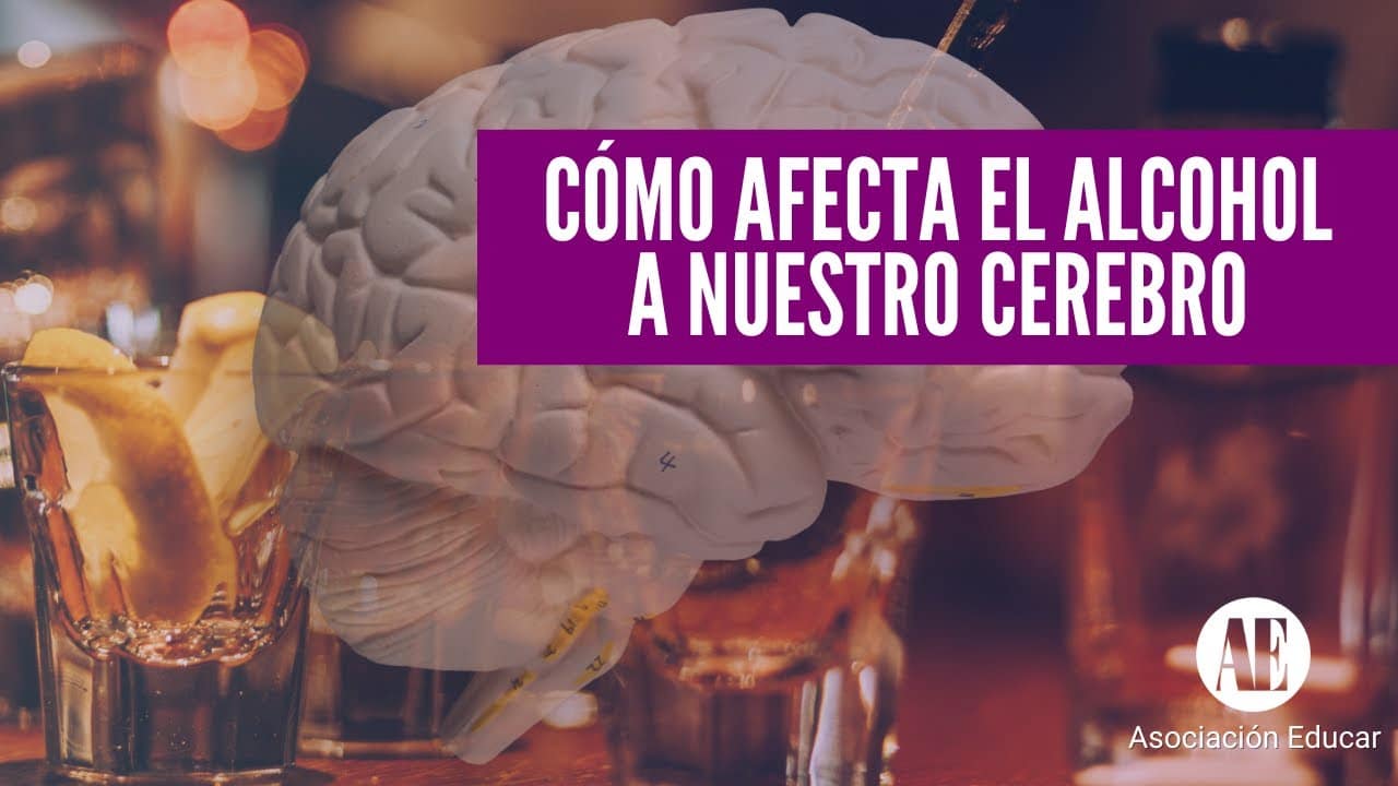 Como Afecta El Alcohol Al Cerebro