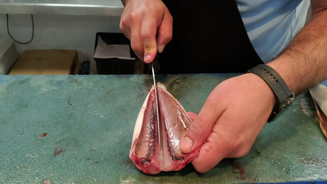 Como Cocinar Caballa Fresca