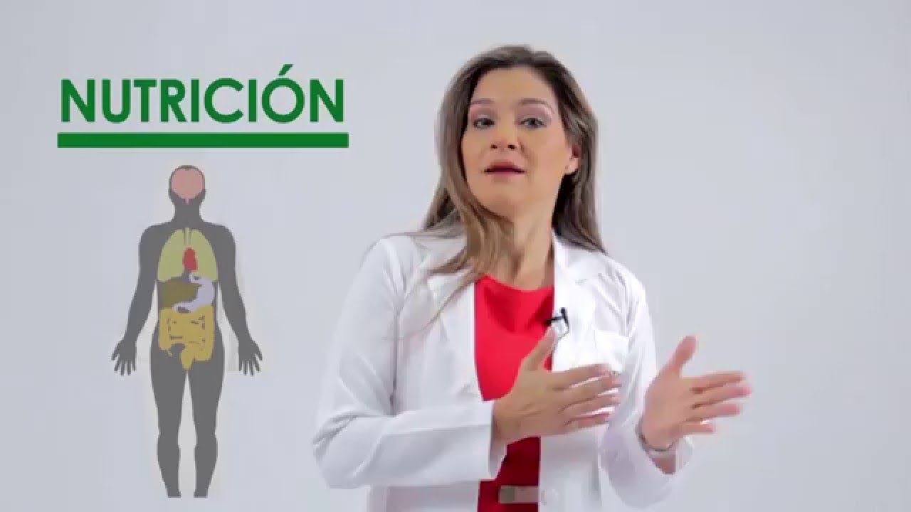 Definición De Nutrición
