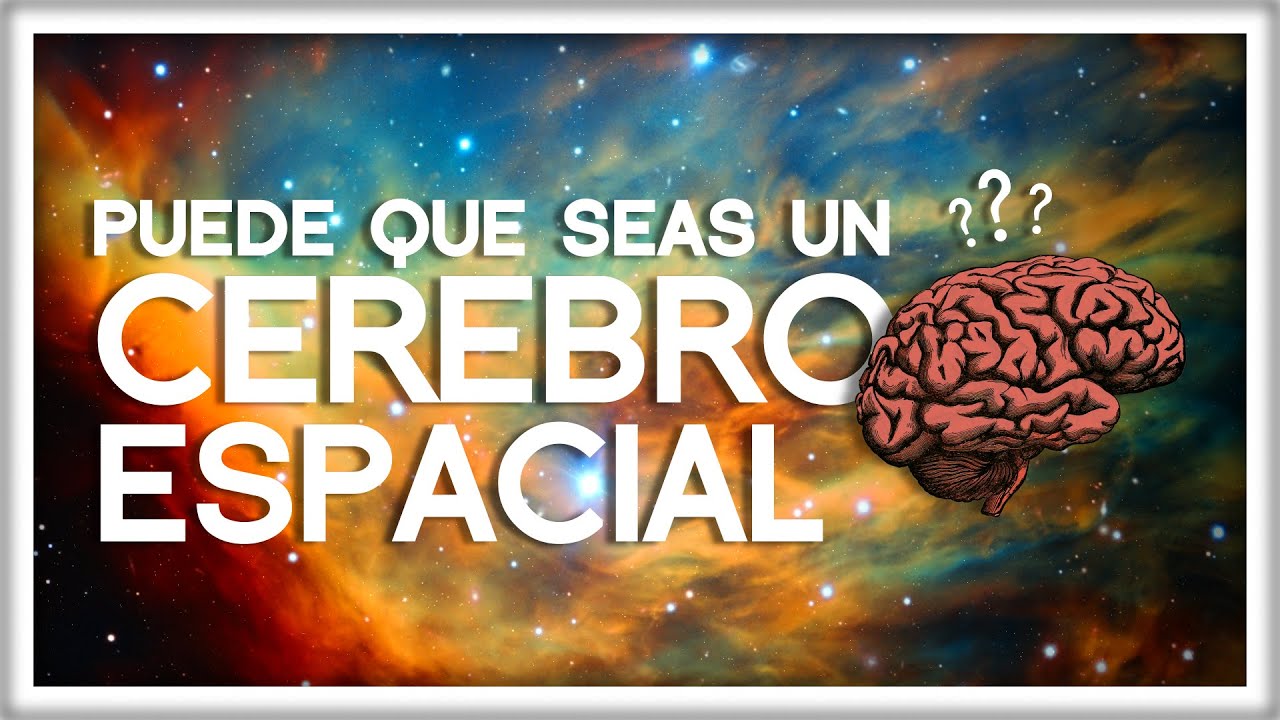 El Cerebro De Boltzmann