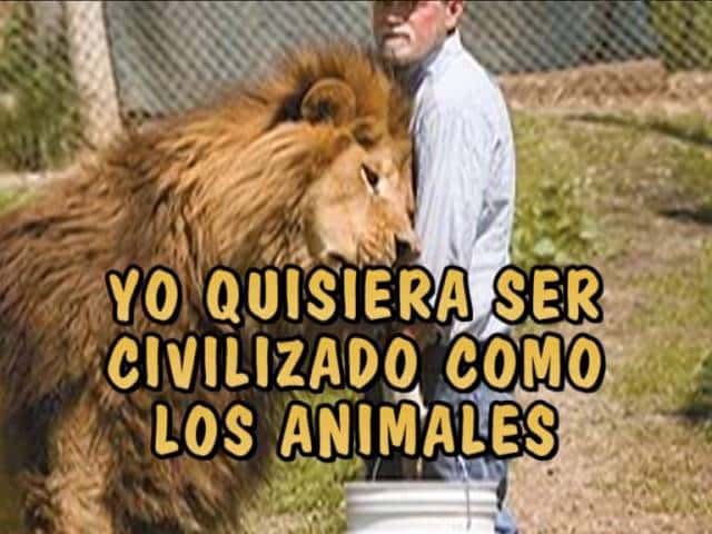 El Progreso