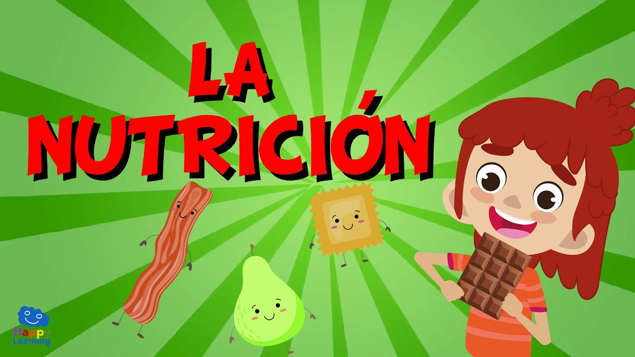En Qué Consiste La Función De Nutrición