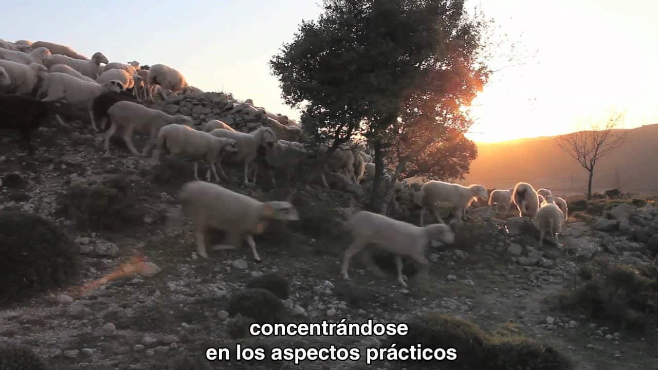 Estat Del Benestar