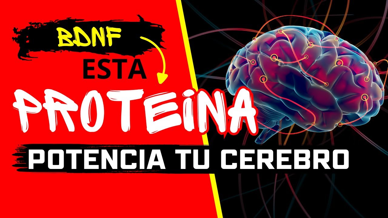 Factor Neurotrófico Derivado Del Cerebro