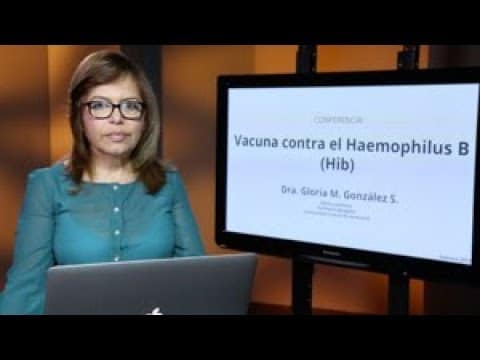 Hib Vacuna