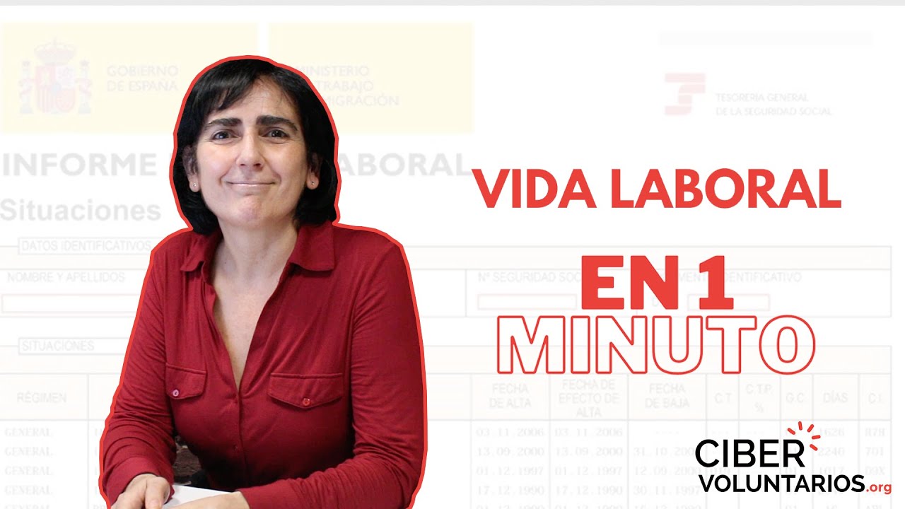 Informe De Vida Laboral