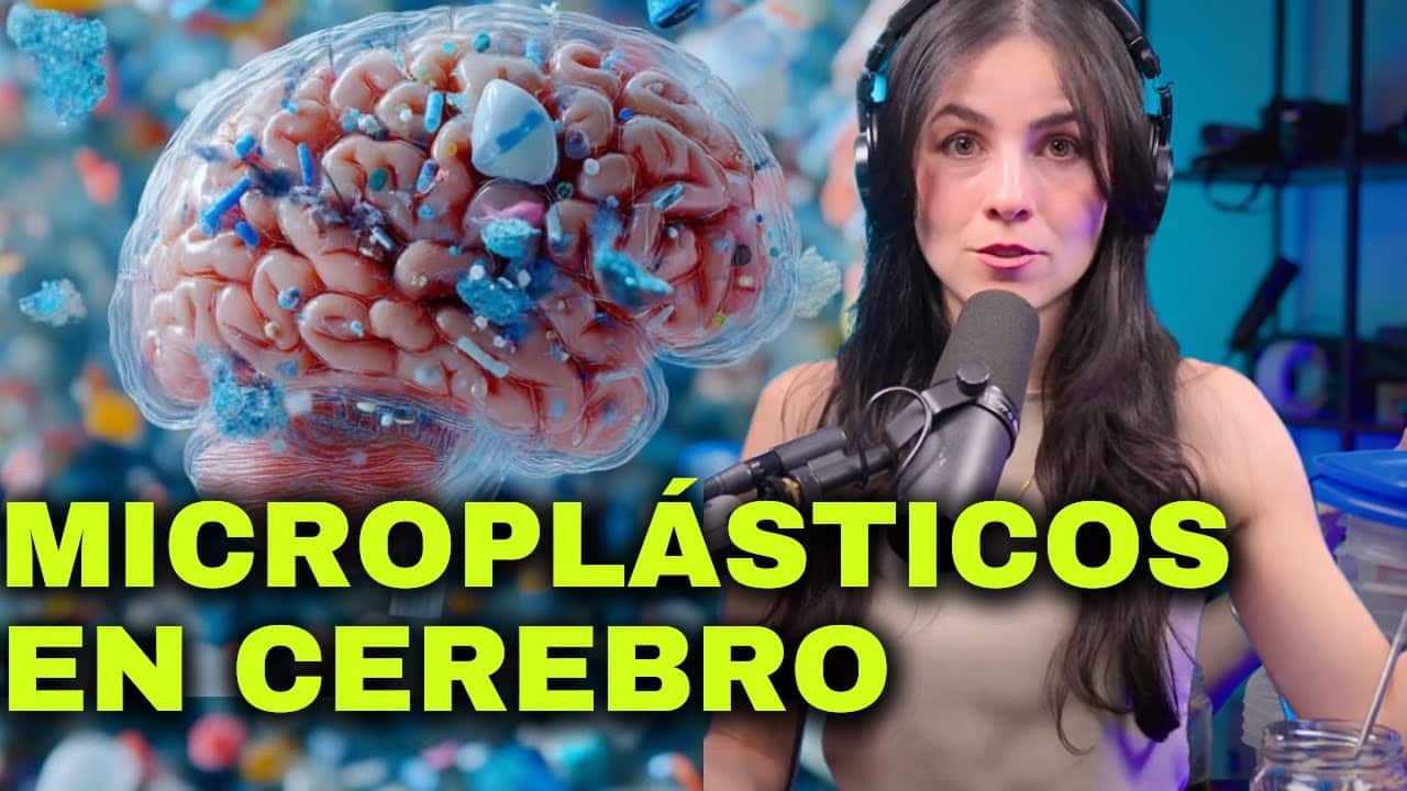 Microplasticos En El Cerebro
