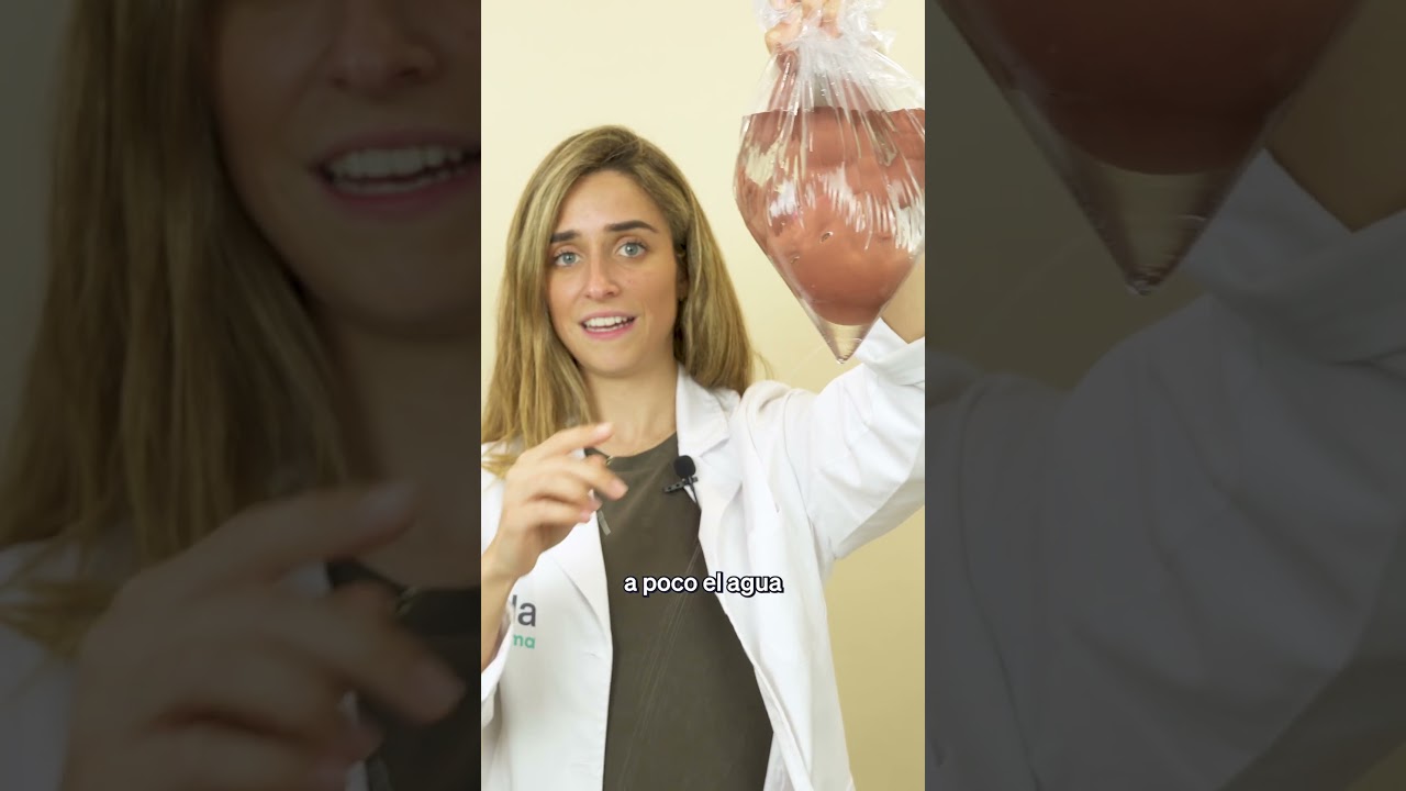 Nata Montada Embarazo