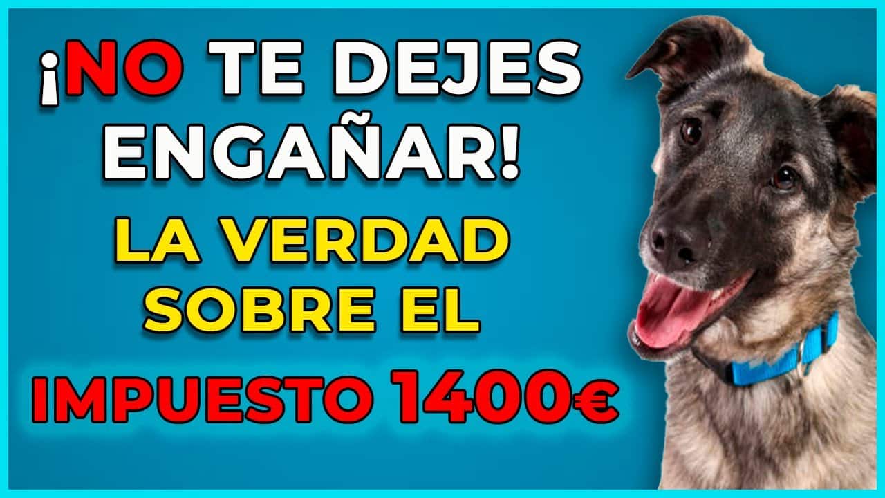 Nueva Ley Bienestar Animal