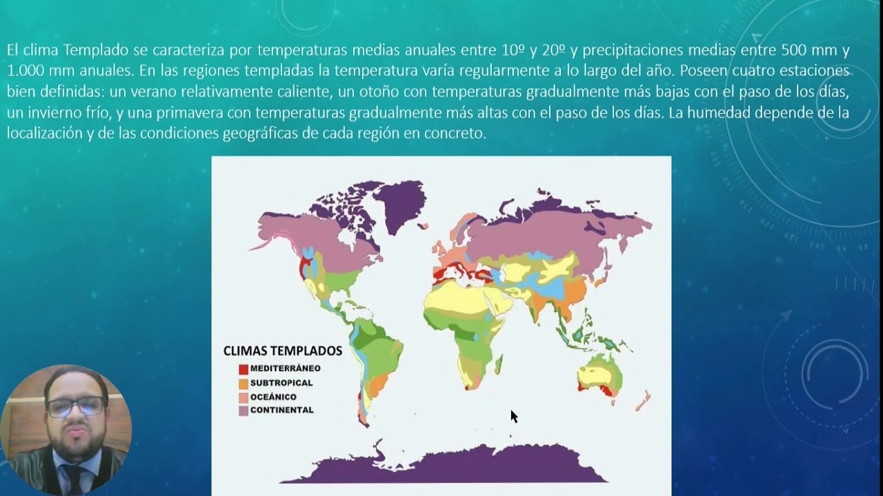 Planta Trepadora Que Fija Sus Raíces En Cualquier Objeto
