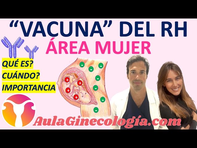 Vacuna Rh Negativo Embarazo