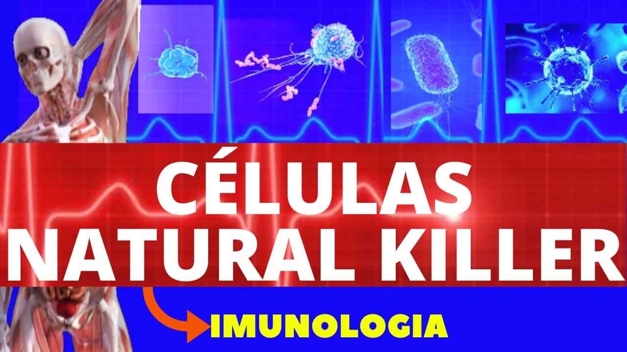 Celulas Nk