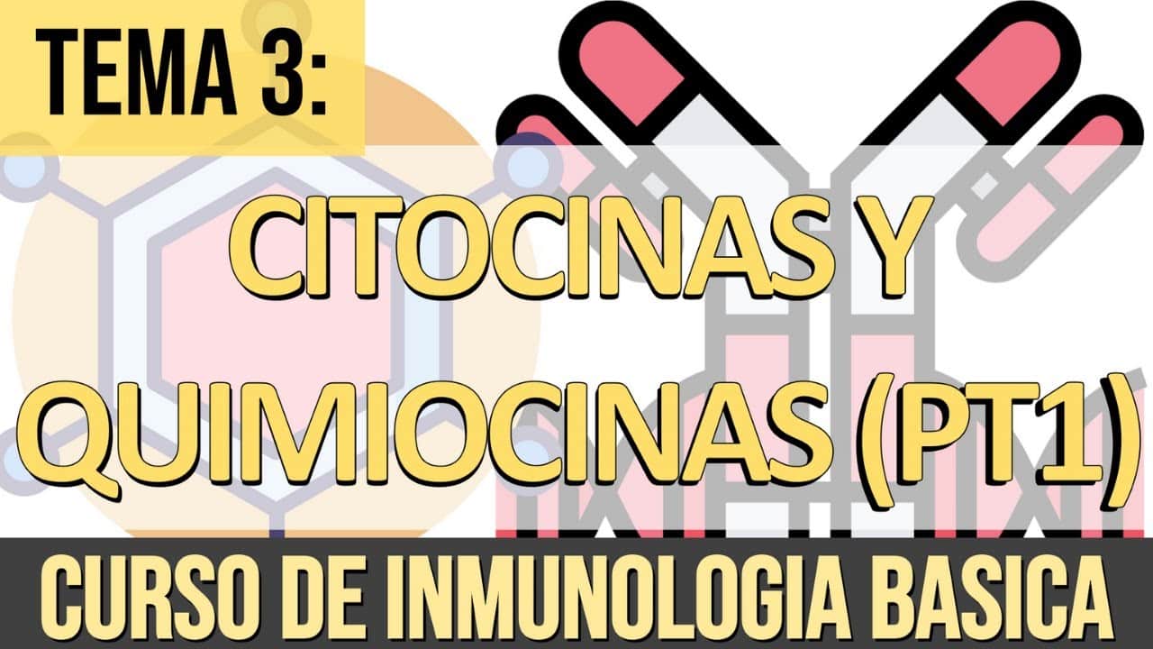 Citocinas