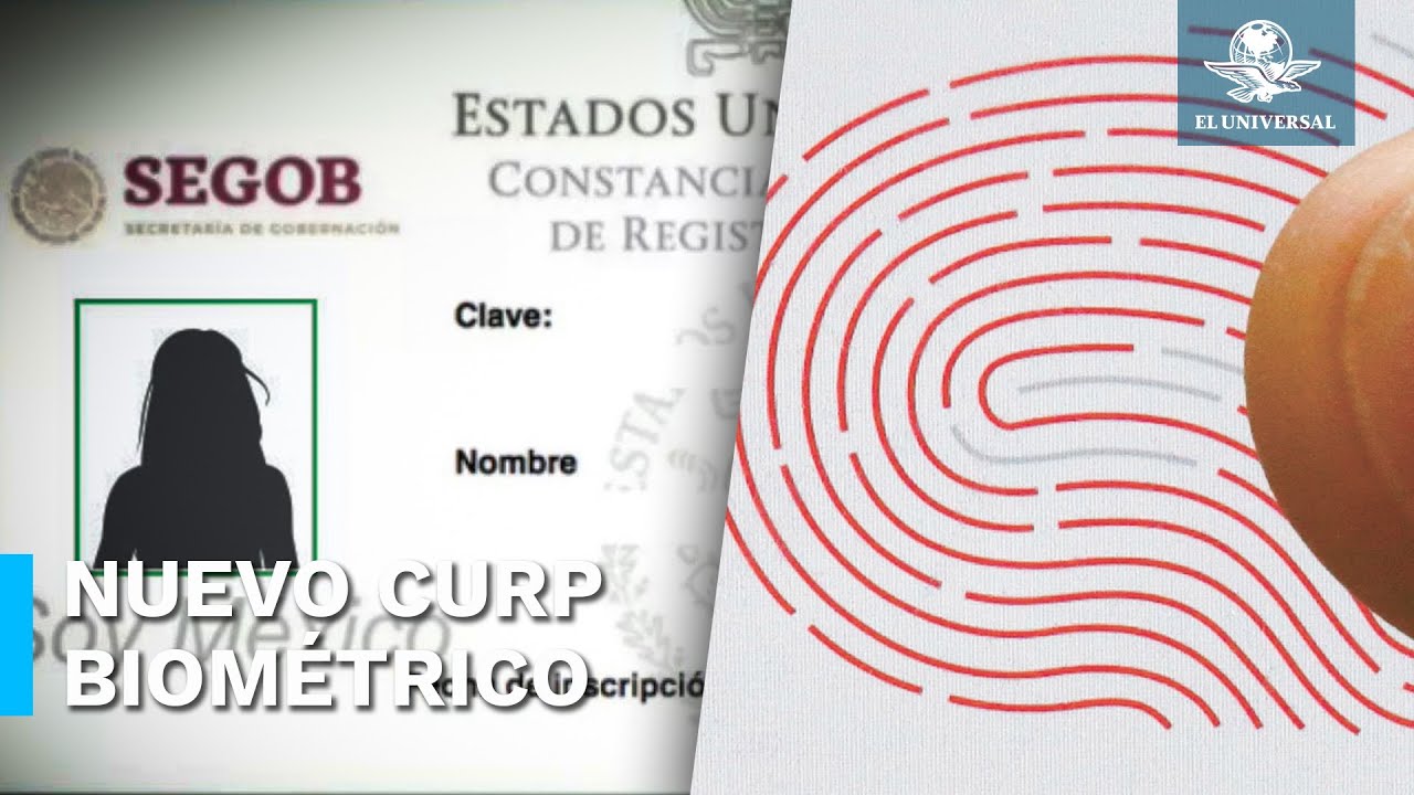 Curp Nueva