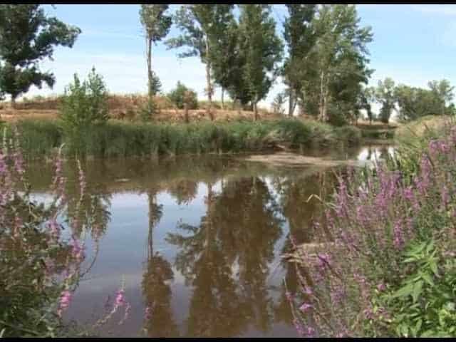 El Río Duero Atraviesa La Provincia De Palencia