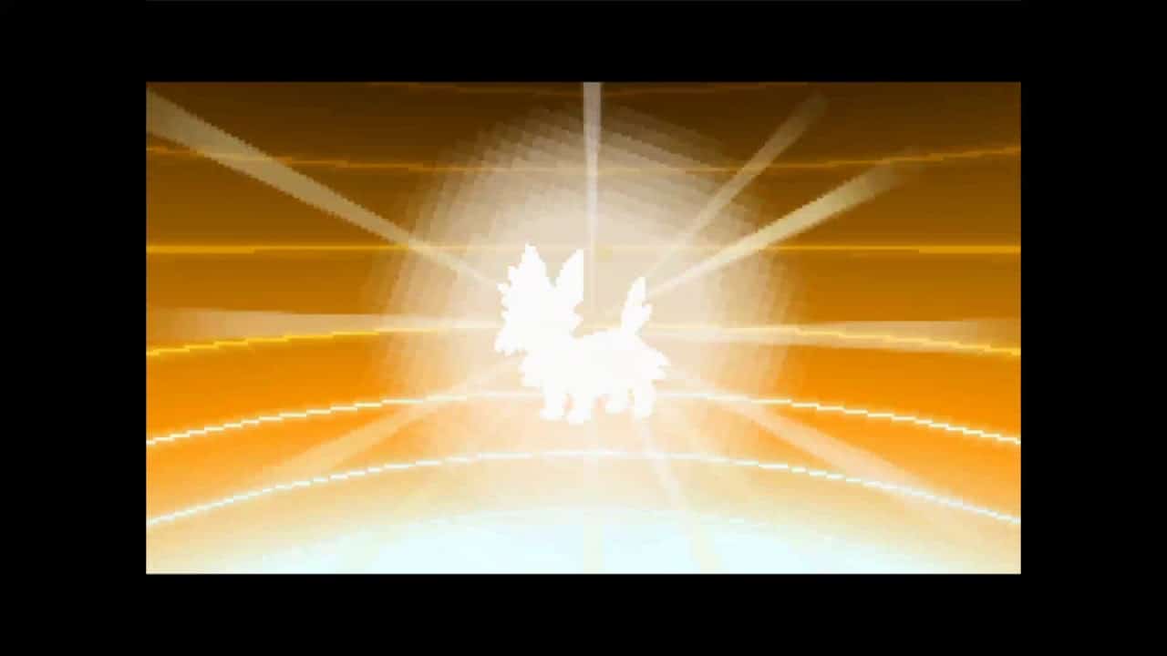 A que nivel evoluciona lillipup
