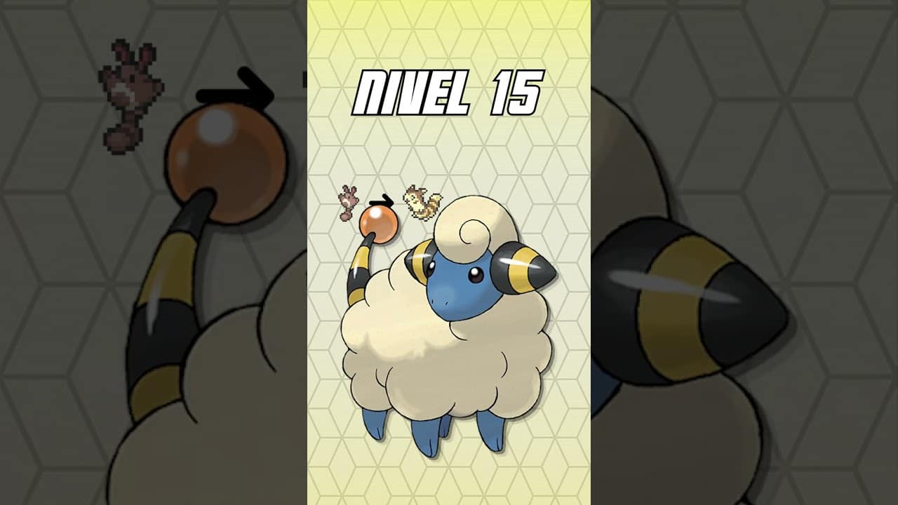 A que nivel evoluciona mareep