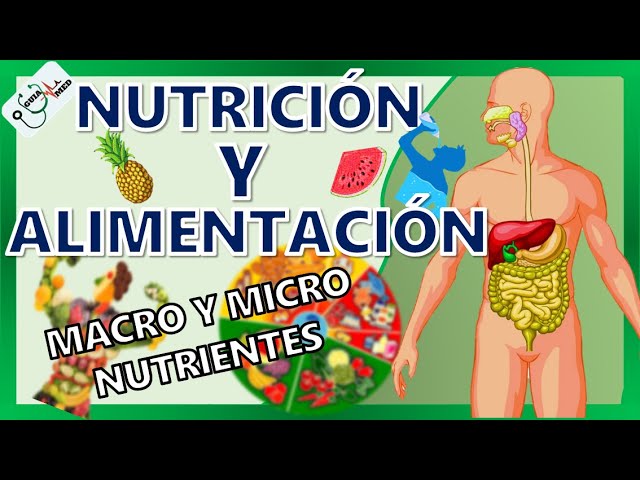 Alimentación y nutrición