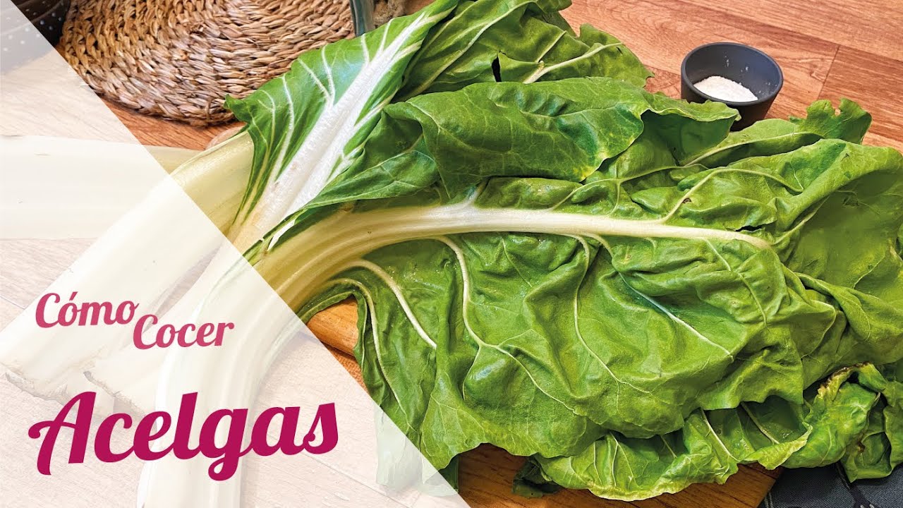 Cocinar acelgas frescas