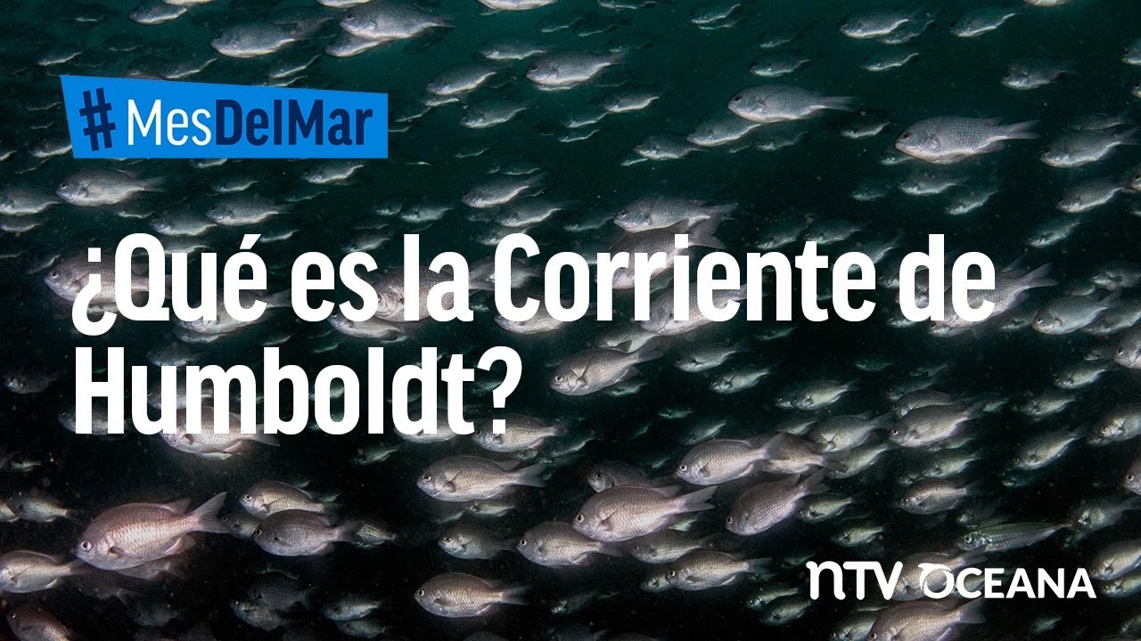 Corriente de humbolt