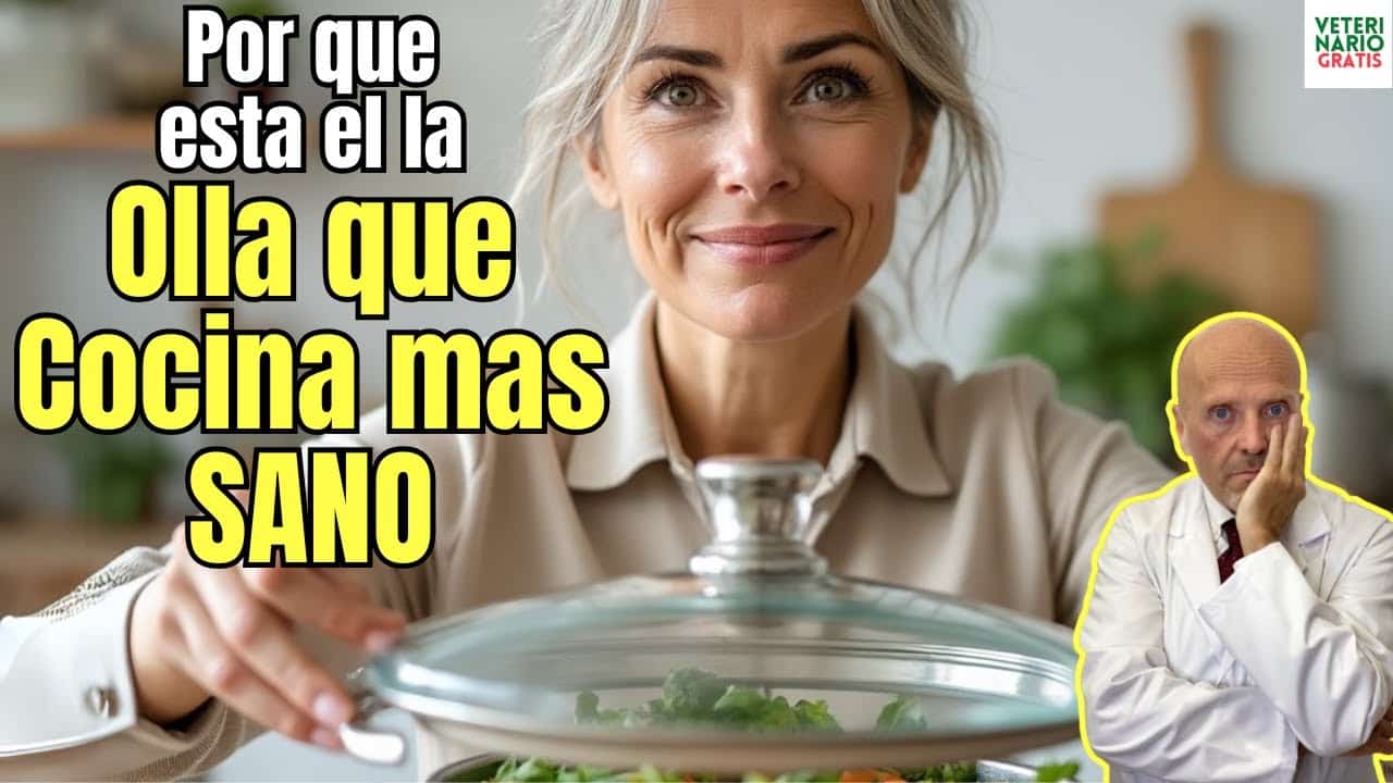 Cuales son las mejores ollas para cocinar sano