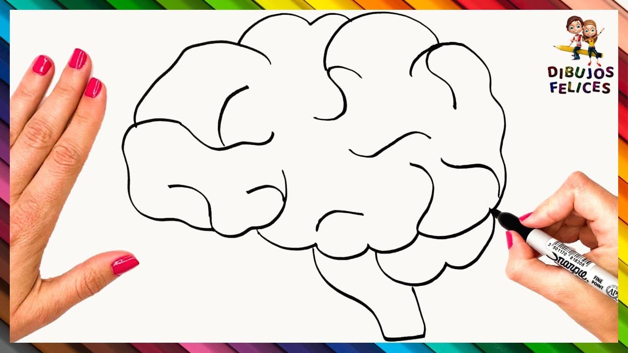Dibujo cerebro