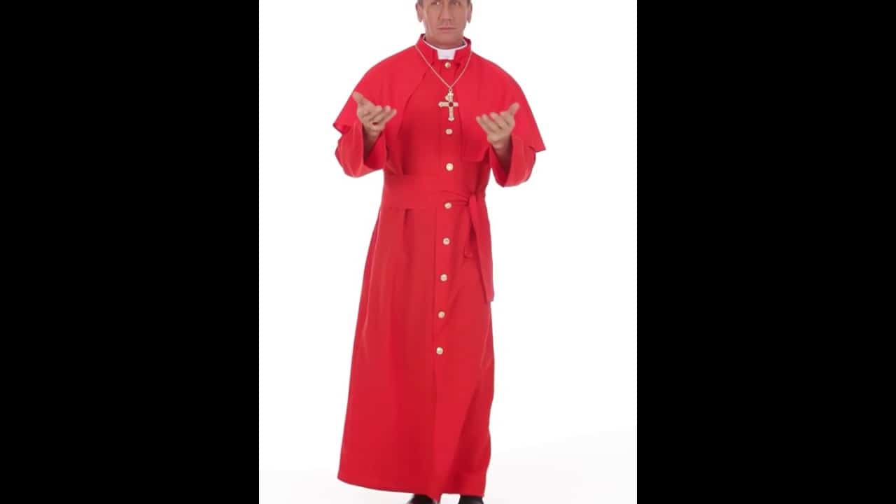 Disfraz de cardenal