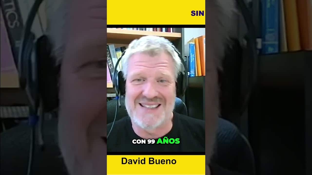 El cerebro del adolescente david bueno pdf