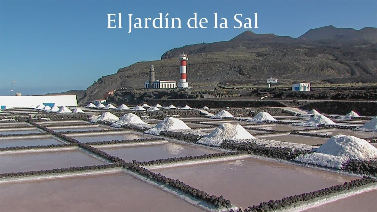 El jardin de la sal