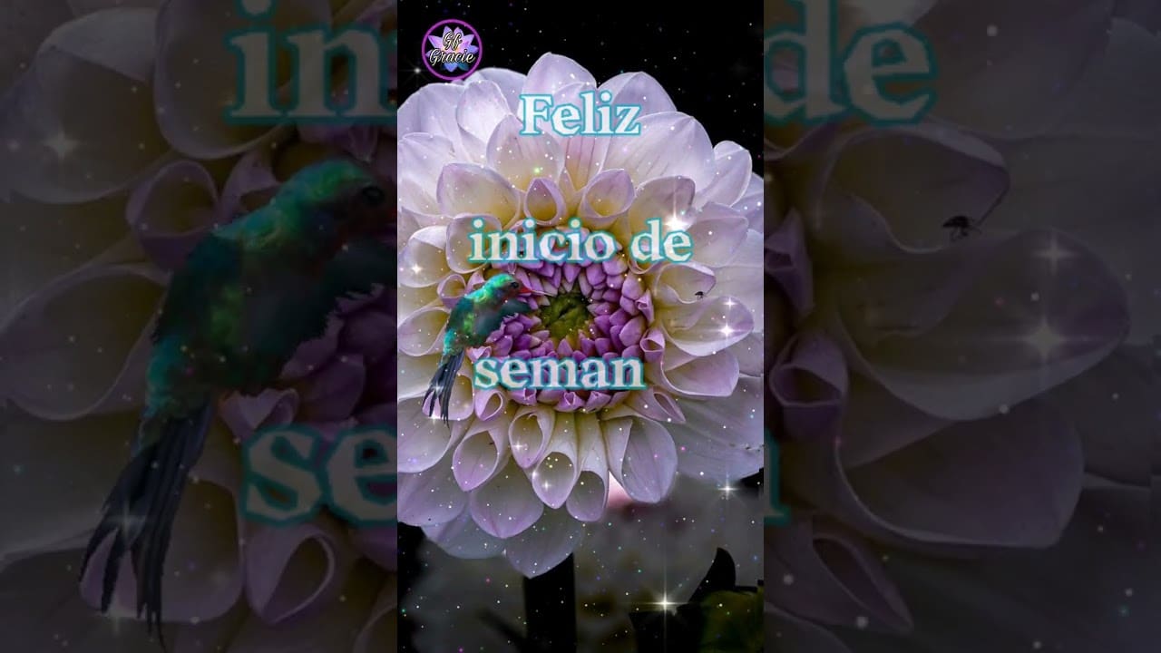 Feliz lunes