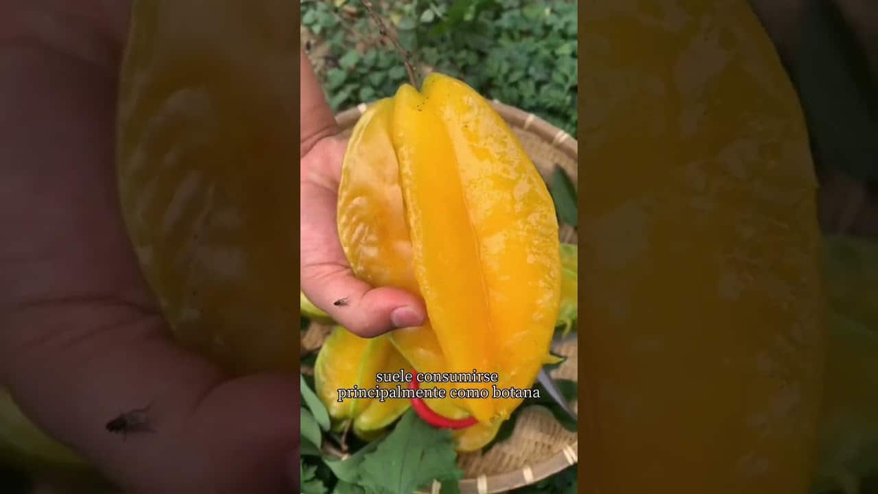 Fruta en forma de estrella