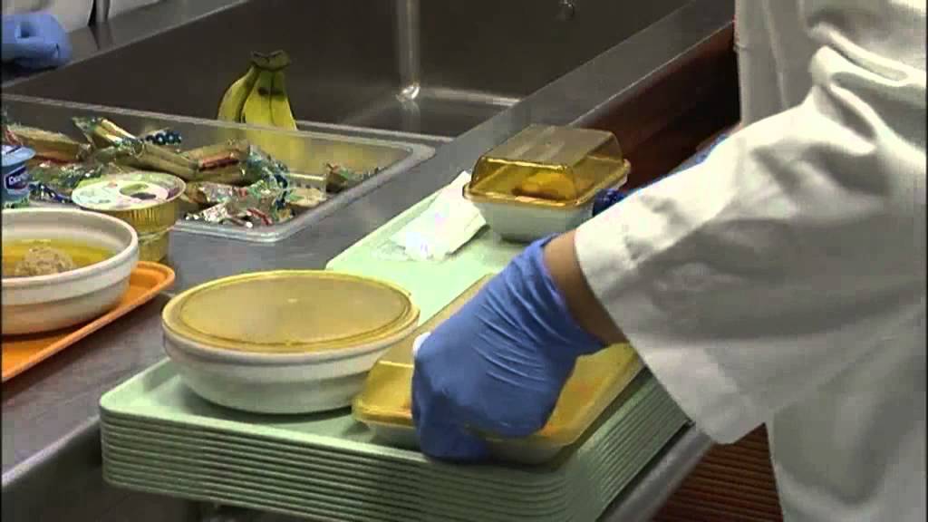 Nutrición humana y dietética