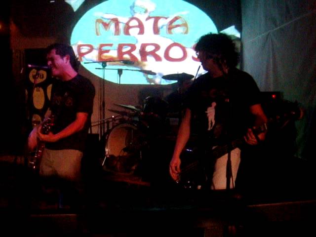 Planta mataperros