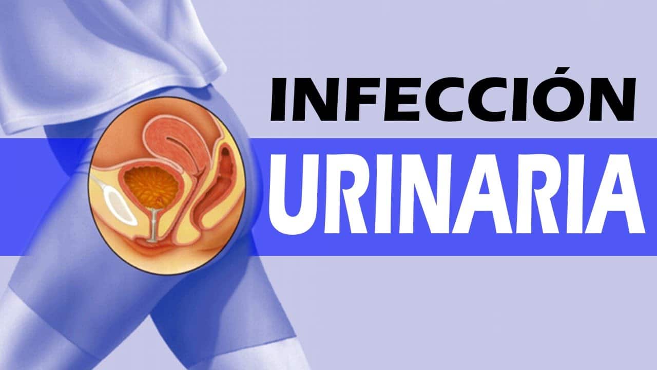 Remedios naturales para la infección de orina