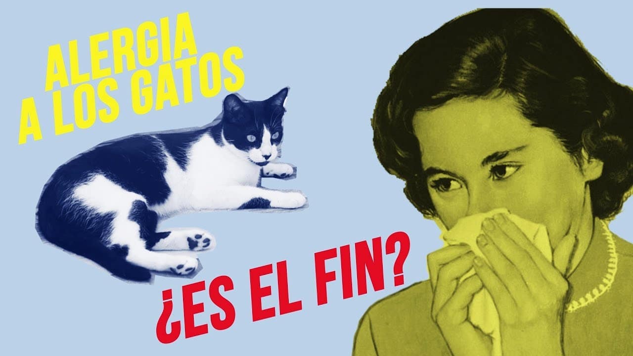 Vacuna alergia gatos