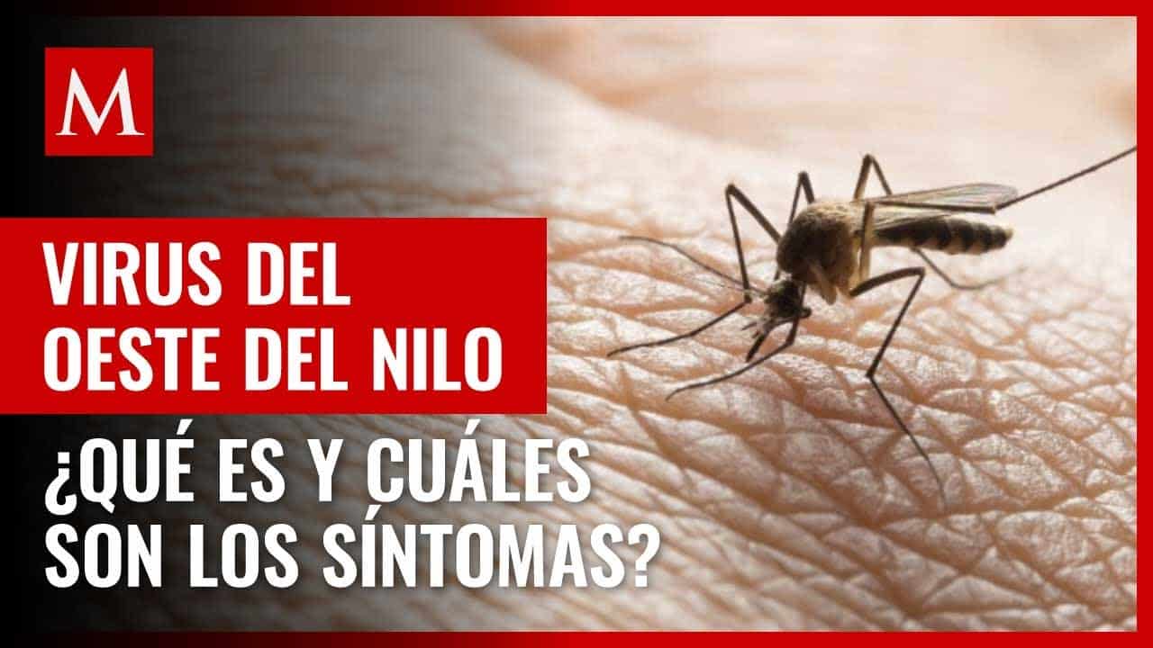 Virus del nilo sintomas