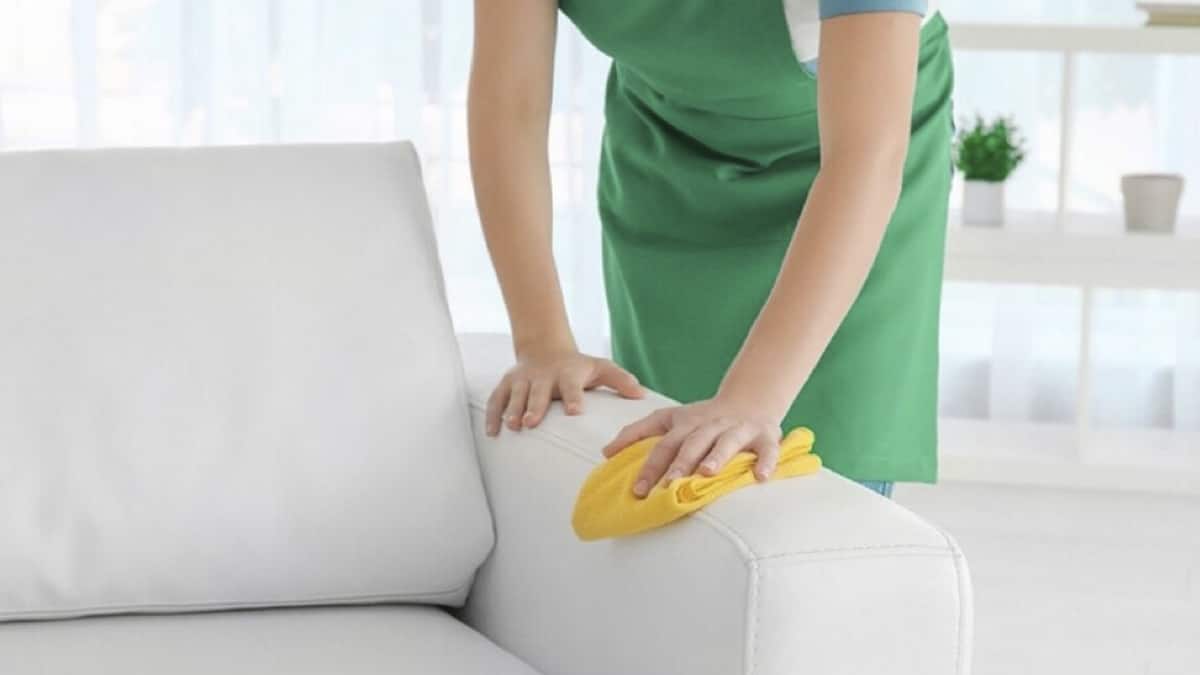 Fini les produits classiques : l’ingrédient surprise qui efface les taches de canapé en quelques minutes