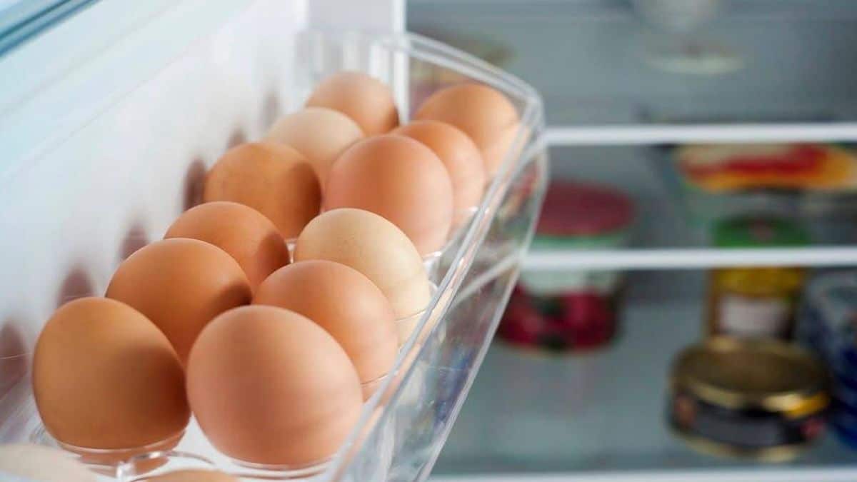Ni 3 jours ni 1 semaine : la durée réelle pour conserver vos œufs au frigo va vous surprendre