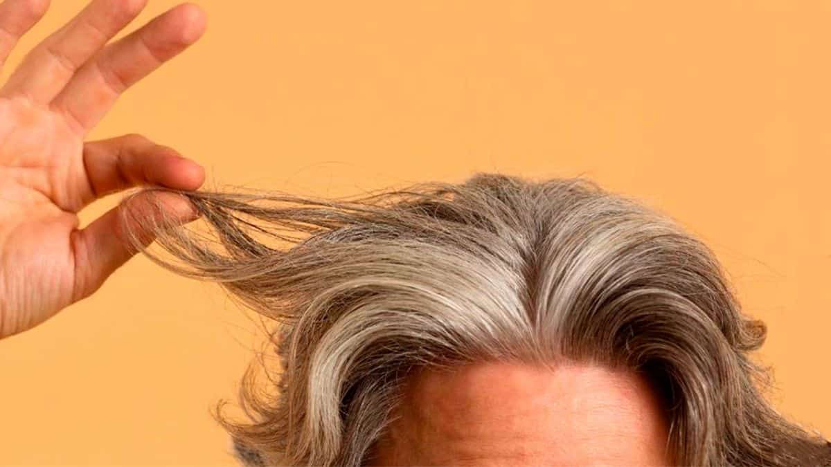 Cheveux gris : la recette maison à 2 ingrédients qui efface les années en quelques jours