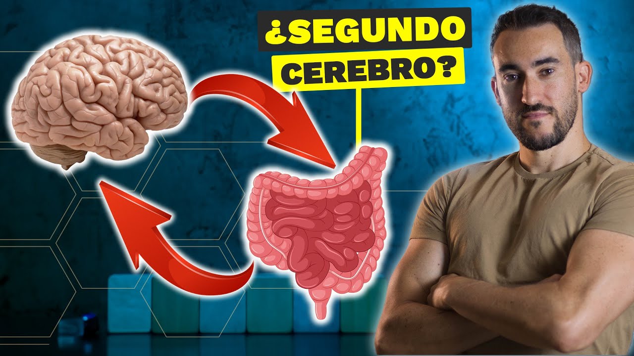 Qué dice la ciencia sobre la idea del estómago como segundo cerebro